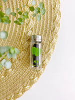 Charcoal Dental Floss | Biodegradable & Vegan