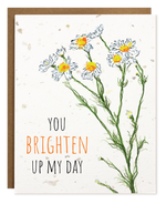 Plantable Greeting Cards