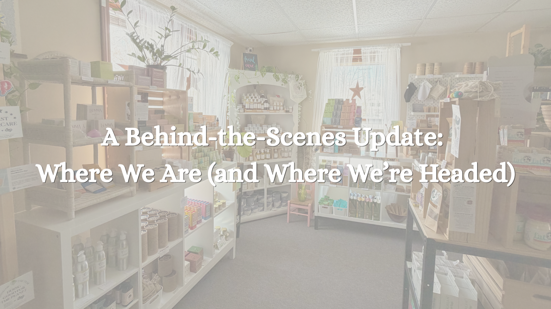 A Behind-the-Scenes Update: Where We Are (and Where We’re Headed)