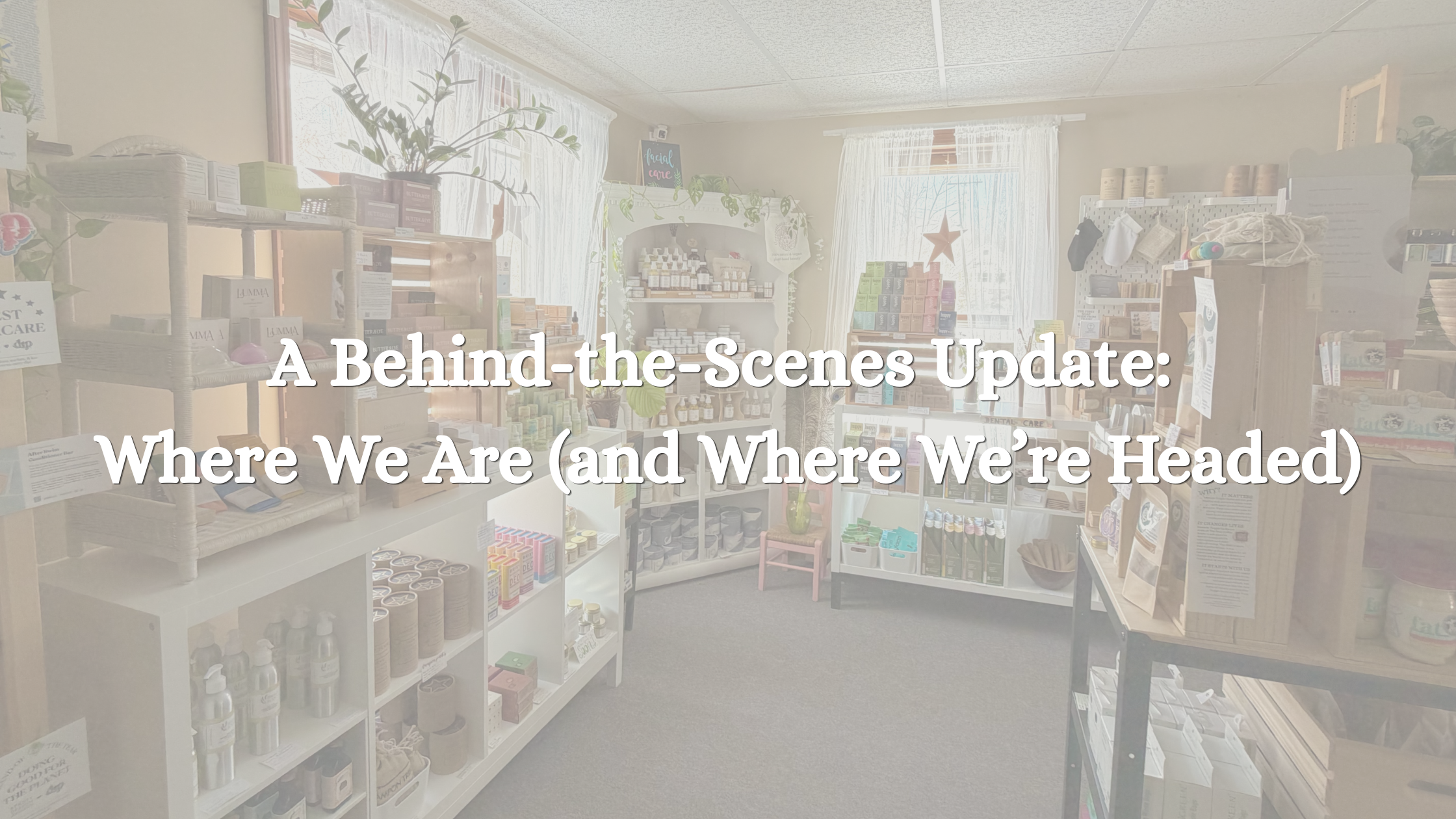 A Behind-the-Scenes Update: Where We Are (and Where We’re Headed)