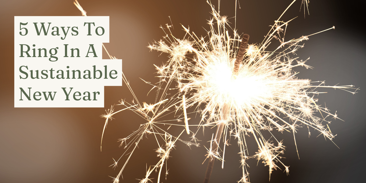 5 Ways to Ring In a Sustainable New Year