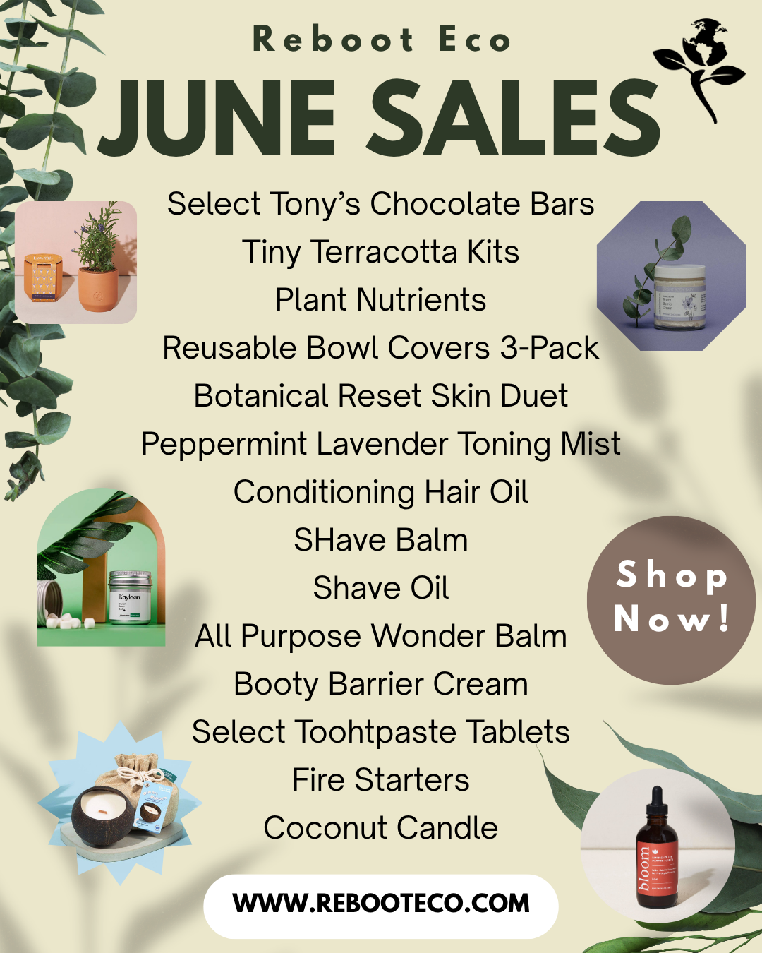 Monthly Sales