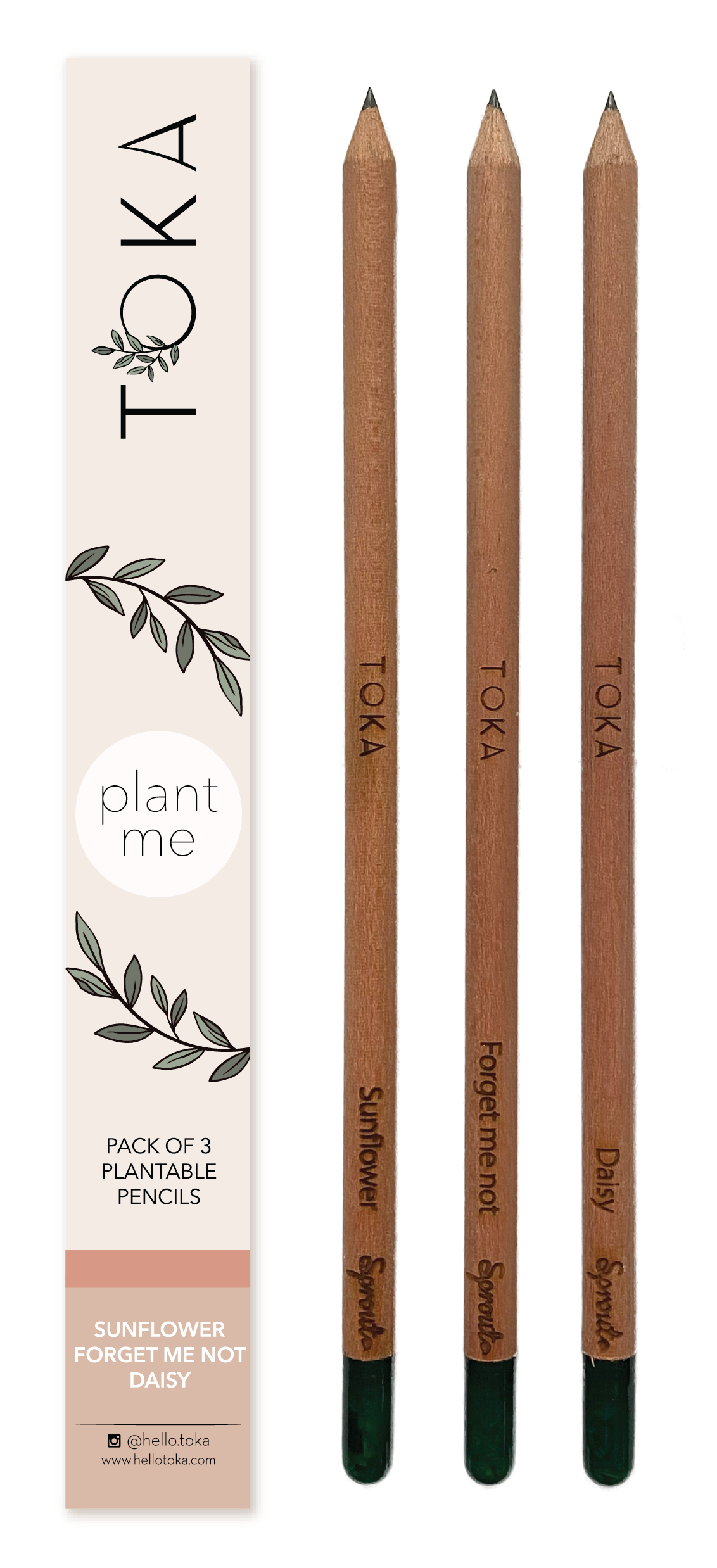 Plantable Pencils | 3-Pack