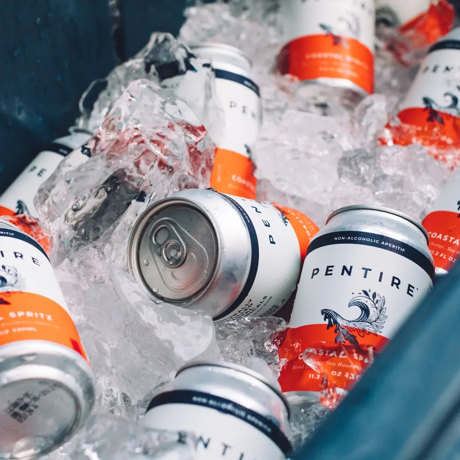 Pentire Coastal Spritz