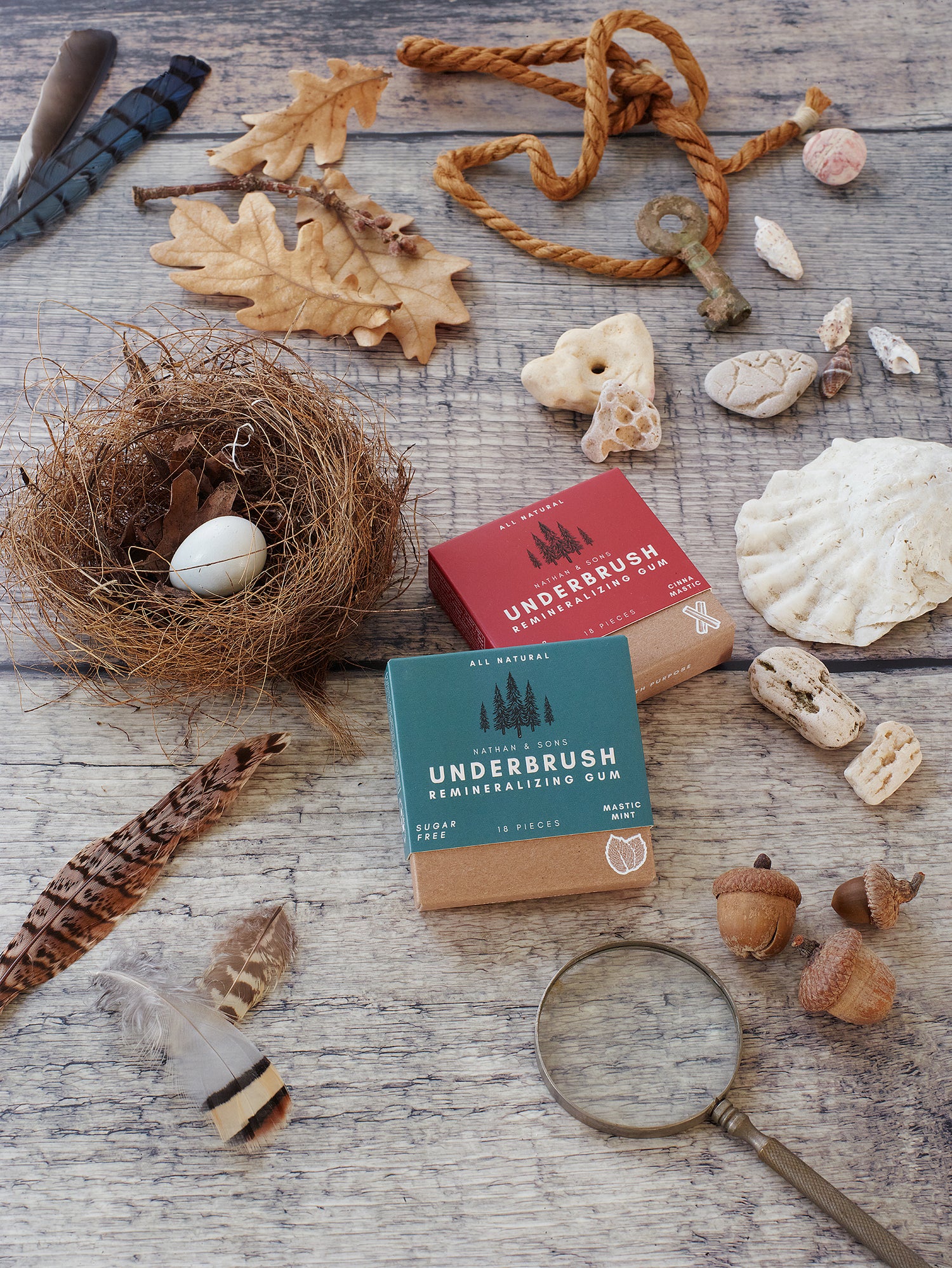 Underbrush Remineralizing Gum – Natural Oral Care, Backed by Science