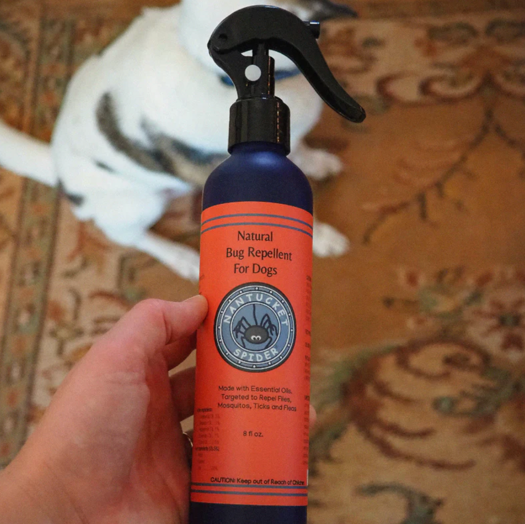 Natural Bug Repellent for Dogs