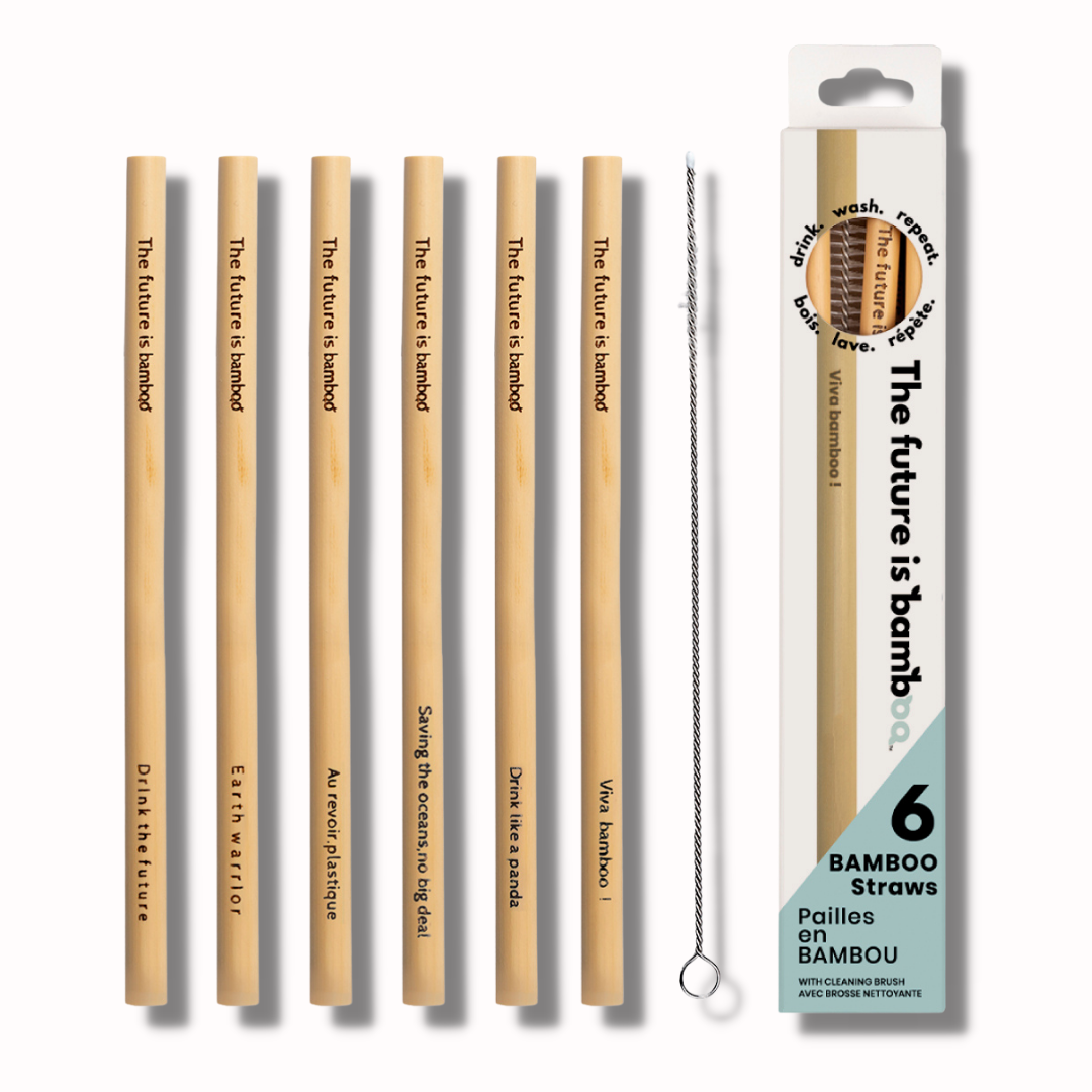 Bamboo Straws - Pack of 6