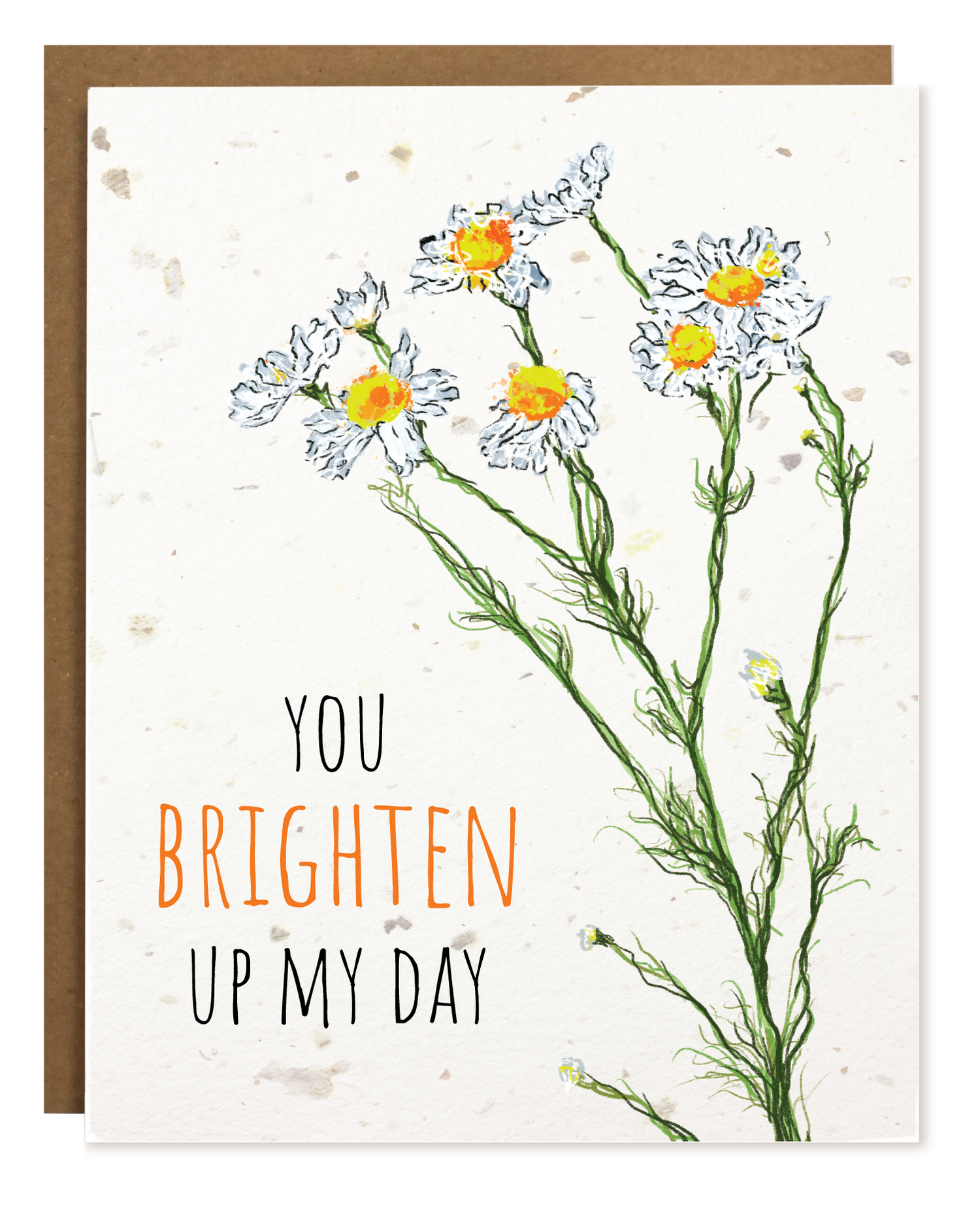 Plantable Greeting Cards