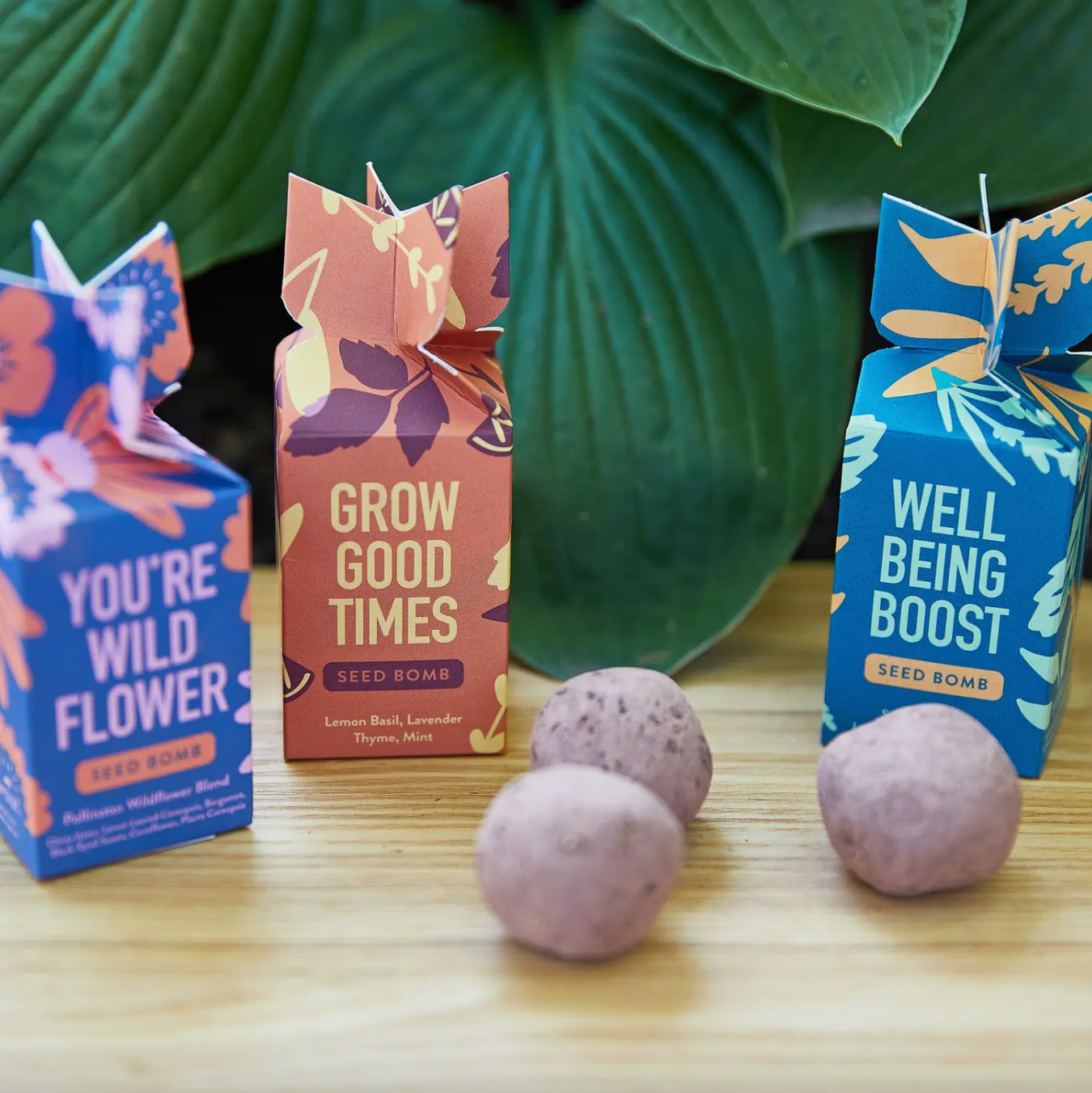 Seed Bombs